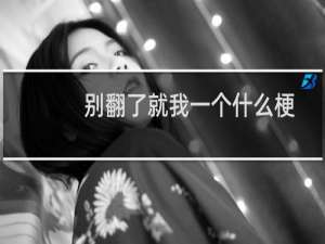 别翻了就我一个什么梗