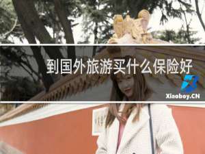 到国外旅游买什么保险好