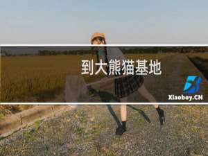 到大熊猫基地