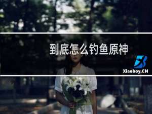 到底怎么钓鱼原神