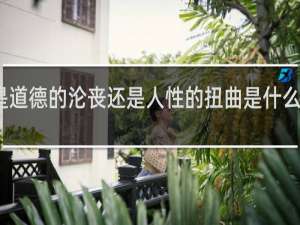 到底是道德的沦丧还是人性的扭曲是什么意思什么梗