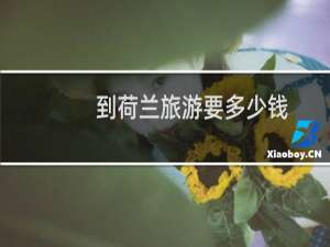 到荷兰旅游要多少钱