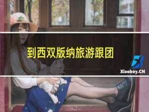 到西双版纳旅游跟团