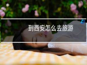 到西安怎么去旅游