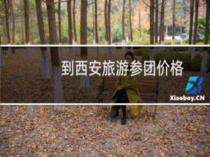 到西安旅游参团价格