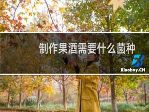 制作果酒需要什么菌种