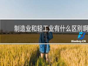 制造业和轻工业有什么区别啊