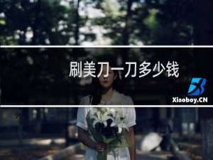 刷美刀一刀多少钱
