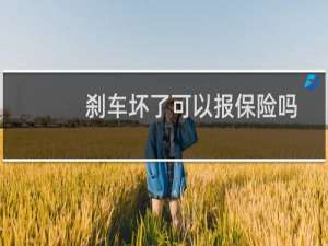 刹车坏了可以报保险吗