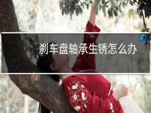 刹车盘轴承生锈怎么办