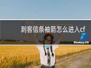 刺客信条袖箭怎么进入cf