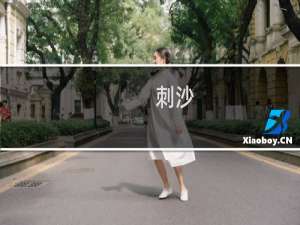 【刺沙】免费刺沙软件下载