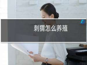 刺猬怎么养殖