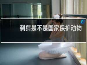 刺猬是不是国家保护动物