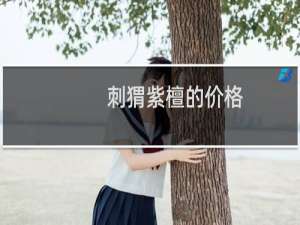 刺猬紫檀的价格