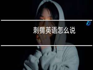 刺猬英语怎么说