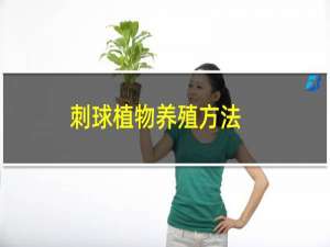 刺球植物养殖方法