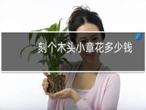 刻个木头小章花多少钱