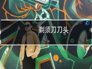 剃须刀刀头