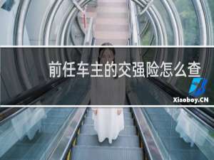 前任车主的交强险怎么查