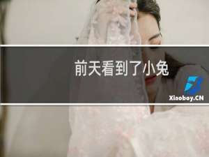 前天看到了小兔，昨天是小鹿，今天是你什么梗？前天看到了小兔，昨天是小鹿，今天是你是什么意思什么梗