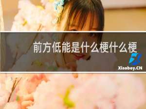 前方低能是什么梗什么梗