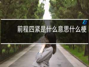 前程四紧是什么意思什么梗