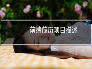 前端简历项目描述