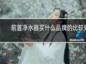 前置净水器买什么品牌的比较好