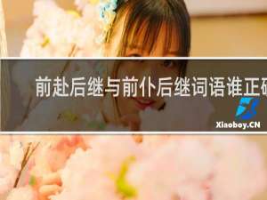 前赴后继与前仆后继词语谁正确