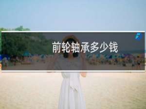 前轮轴承多少钱