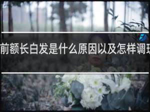 前额长白发是什么原因以及怎样调理才好