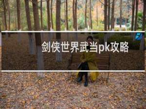 剑侠世界武当pk攻略