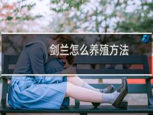 剑兰怎么养殖方法