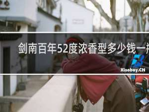 剑南百年52度浓香型多少钱一瓶