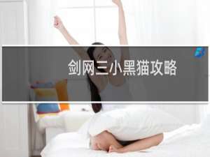 剑网三小黑猫攻略