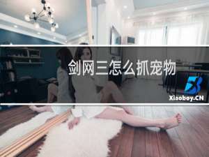 剑网三怎么抓宠物