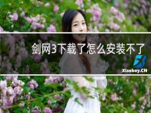 剑网3下载了怎么安装不了