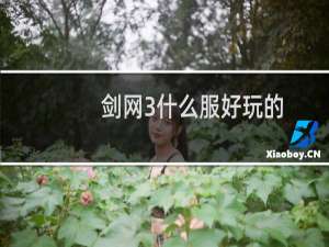 剑网3什么服好玩的