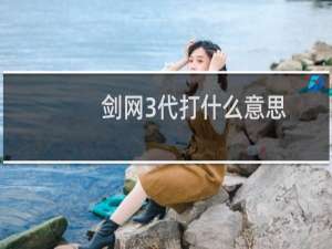 剑网3代打什么意思