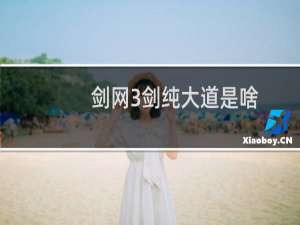 剑网3剑纯大道是啥