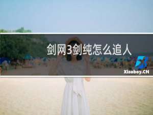 剑网3剑纯怎么追人