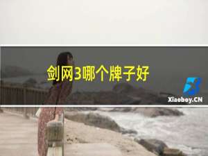 剑网3哪个牌子好
