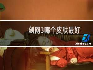 剑网3哪个皮肤最好