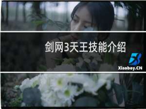 剑网3天王技能介绍