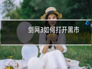 剑网3如何打开黑市