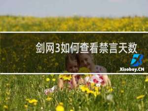 剑网3如何查看禁言天数