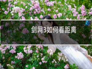 剑网3如何看距离
