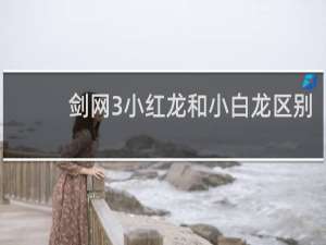 剑网3小红龙和小白龙区别