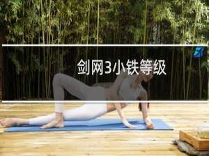 剑网3小铁等级